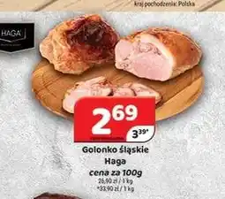 Delfin Golonko śląskie Haga oferta