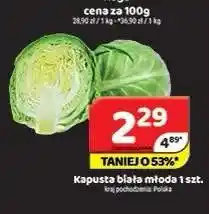 Delfin Kapusta biała młoda oferta