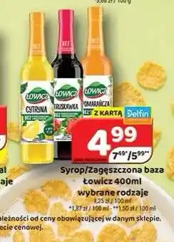 Delfin Syrop Łowicz oferta