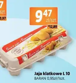 Jubilat Jaja klatkowe L 10 BARAN oferta