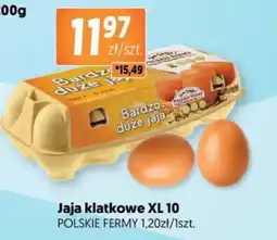 Jubilat Jaja klatkowe XL POLSKIE FERMY oferta