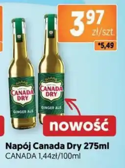 Jubilat Napój Canada Dry oferta