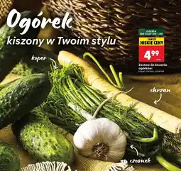 Biedronka Zestaw do kiszenia oferta