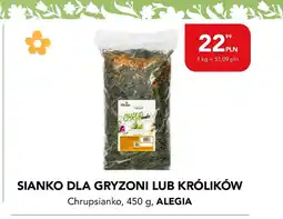 AquaelZOO Sianko dla gryzoni Alegia oferta