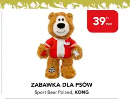 AquaelZOO Zabawka dla psa Kong oferta