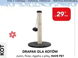 AquaelZOO Drapak dla kota Have a Pet oferta