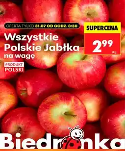 Biedronka Jabłka polskie na wagę oferta