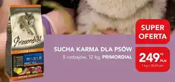 AquaelZOO Sucha karma dla psów Primordial Grain Free oferta