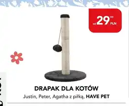 AquaelZOO Drapak dla kotów Justin Have Pet oferta