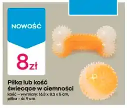 Pepco Zabawka dla psa oferta