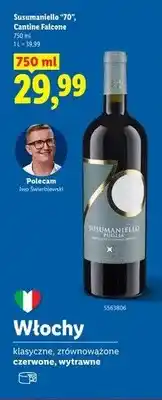 Lidl Wino czerwone wytrawne Susumaniello 70 Cantine Falcone oferta