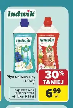 Carrefour Płyn uniwersalny Kwiaty laguny Ludwik oferta
