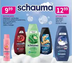 Drogerie Polskie SCHAUMA szampon, odżywka, szampon przeciwłupieżowy, suchy szampon oferta