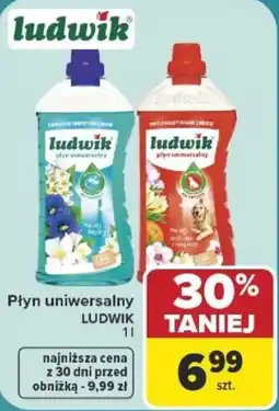 Carrefour Płyn uniwersalny LUDWIK oferta