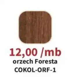 Meble Bodzio orzech Foresta oferta