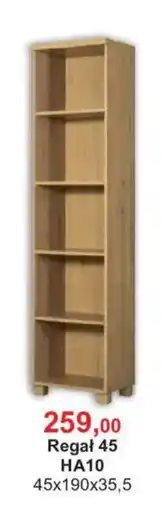 Meble Bodzio Regał 45 HA10 oferta