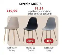 Meble Bodzio Krzesło MORIS oferta