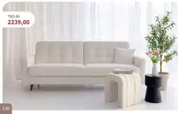 Meble Bodzio TSES-B2 oferta