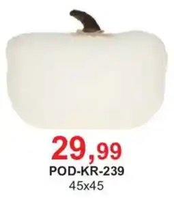 Meble Bodzio Poduszka oferta