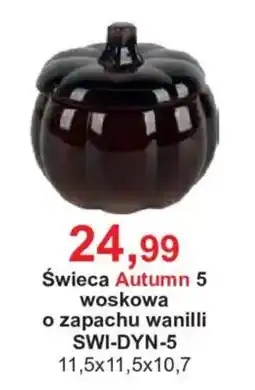 Meble Bodzio Świeca Autumn 5 oferta