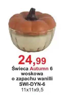 Meble Bodzio Świeca Autumn 6 oferta