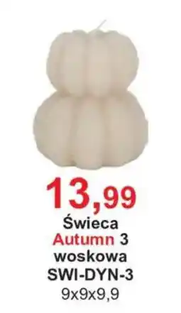 Meble Bodzio Świeca Autumn 3 oferta