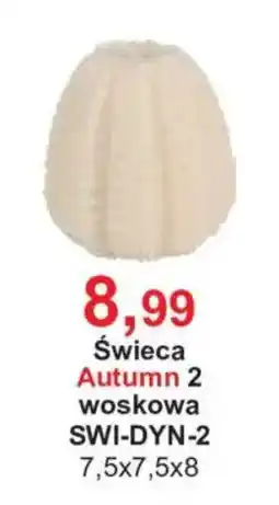 Meble Bodzio Świeca Autumn 2 oferta