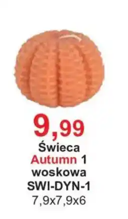 Meble Bodzio Świeca Autumn 1 oferta