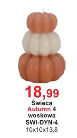Meble Bodzio Świeca Autumn 4 oferta