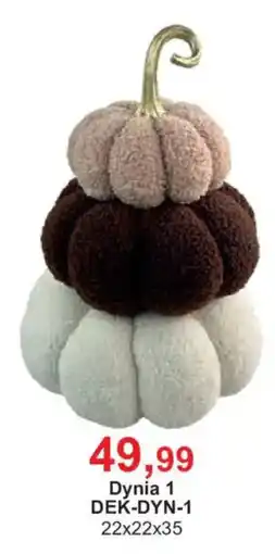 Meble Bodzio Dynia 1 oferta