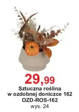 Meble Bodzio Sztuczna roślina w ozdobnej doniczce 162 oferta