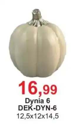 Meble Bodzio Dynia 6 oferta