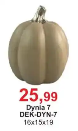 Meble Bodzio Dynia 7 oferta