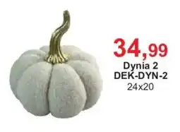 Meble Bodzio Dynia 2 oferta