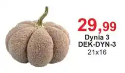 Meble Bodzio Dynia 3 oferta