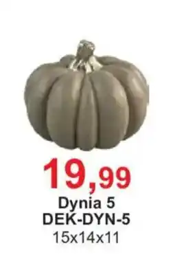 Meble Bodzio Dynia 5 oferta