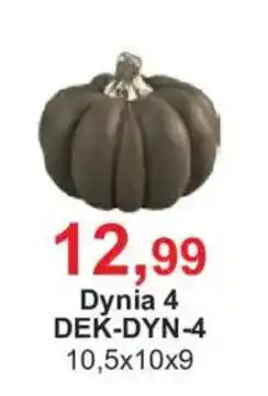 Meble Bodzio Dynia 4 oferta