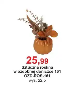Meble Bodzio Sztuczna roślina w ozdobnej doniczce 161 oferta