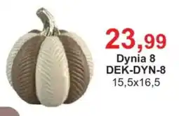 Meble Bodzio Dynia 8 oferta