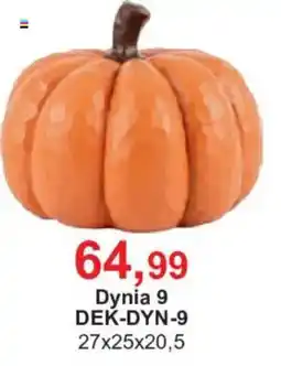 Meble Bodzio Dynia 9 oferta
