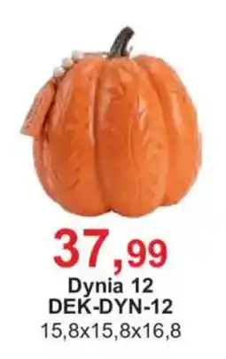 Meble Bodzio Dynia 12 oferta
