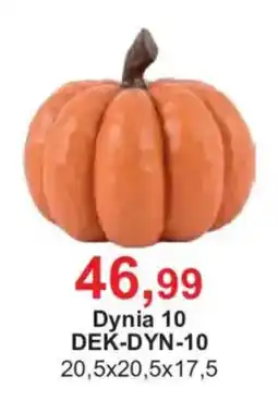 Meble Bodzio Dynia 10 oferta