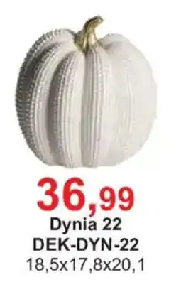 Meble Bodzio Dynia 22 oferta