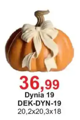 Meble Bodzio Dynia 19 oferta