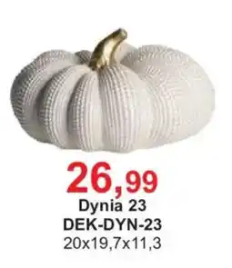 Meble Bodzio Dynia 23 oferta