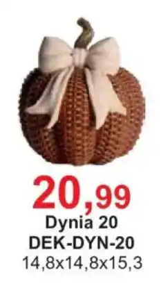 Meble Bodzio Dynia 20 oferta