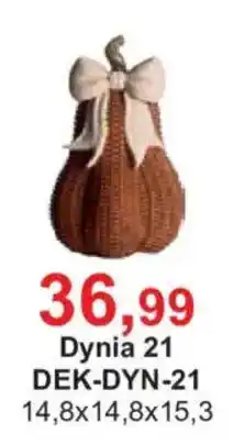 Meble Bodzio Dynia 21 oferta