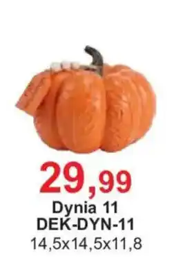 Meble Bodzio Dynia 11 oferta