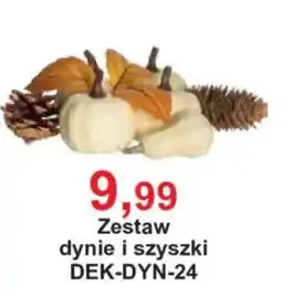 Meble Bodzio Zestaw dynie i szyszki oferta