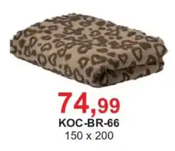 Meble Bodzio Koc BR-66 oferta